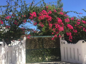 Casa Stella Marina
